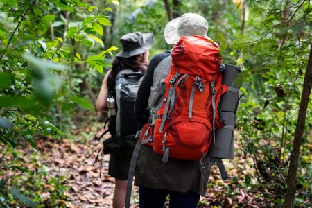 Trekking in a forest