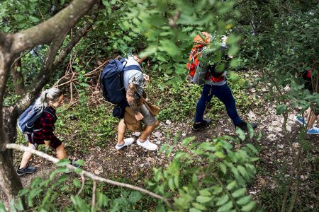 Trekking in a forest